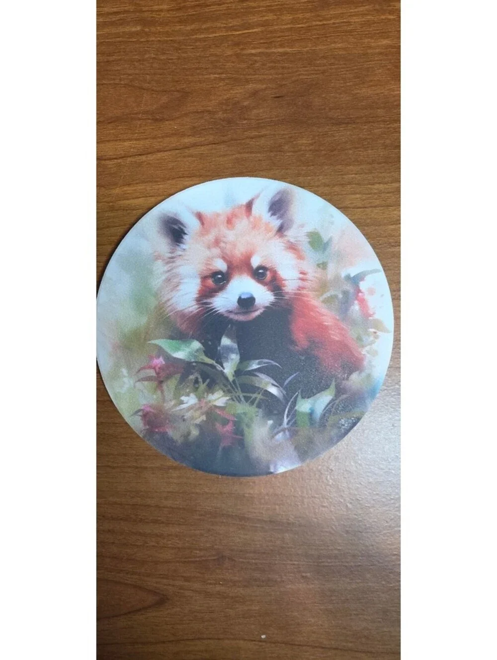 Red Panda Coasters NEW set of 4